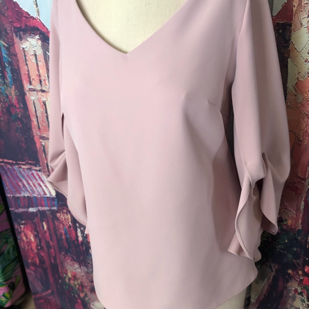 Alberto Makali Nwot Pale Pink Top